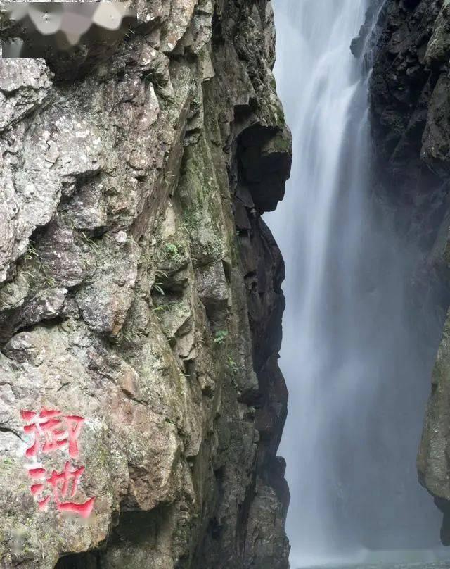 拯救精灵的土地6